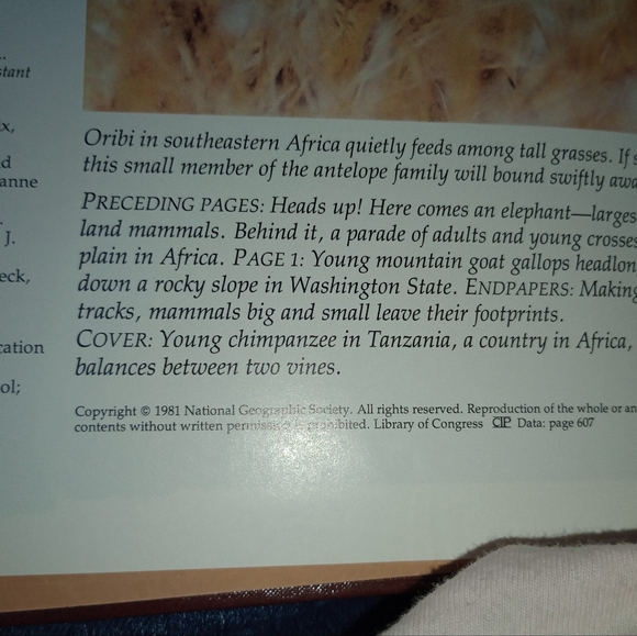 Vintage , national geographic mammal studies 2 part book set , good condition - Picture 7 of 8